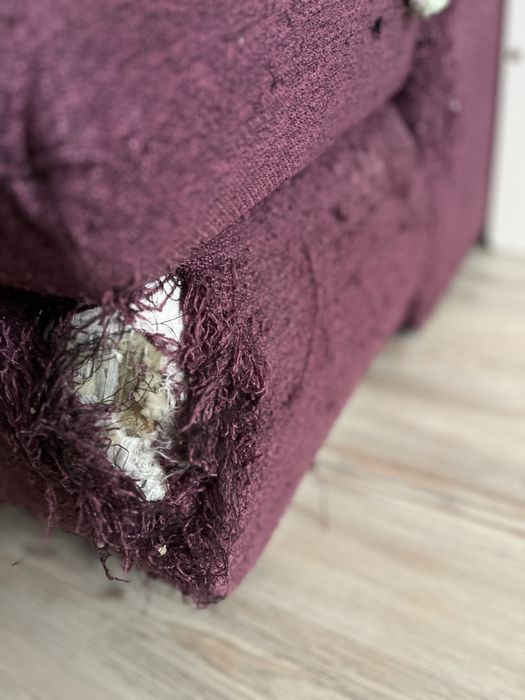 Coltar extensibil Amadeo Mobexpert