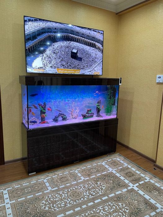 Akvarum va aksasuvarla kere bisa 24/7 murojat qivurila