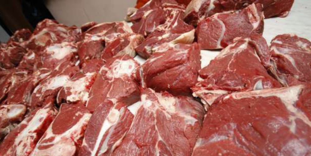 Продам мясо конину