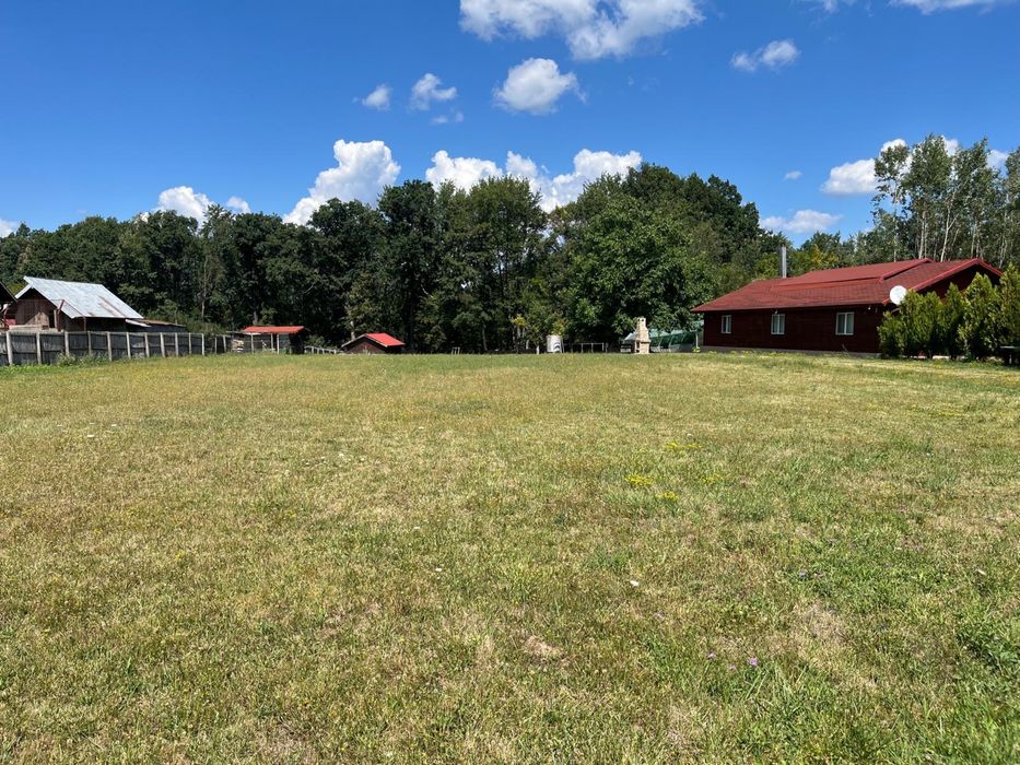 Teren 2000 mp pe Sos Nationala DN7 Pitesti -Valcea