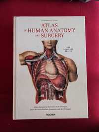 Atlas of Human Anatomy and Surgery - J. M. Bourgery || TASCHEN