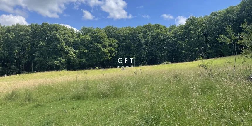 Teren, situat sub liziera padurii. Str. Tabara