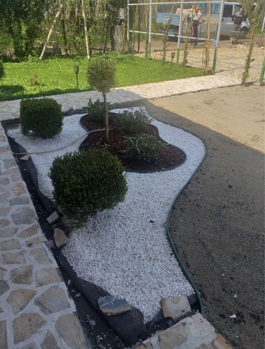 Amenajari gradini cu plante de toate speciile