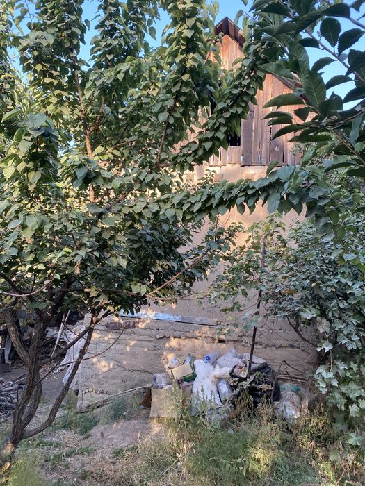 Дача Паркент Ташор СВТ