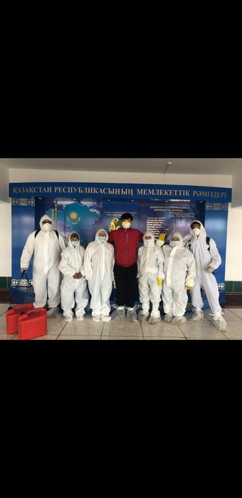 Дезинфекция Химчистка уничтожение насекомых