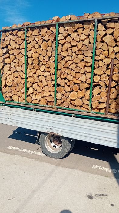 Lemn pentru foc salcam