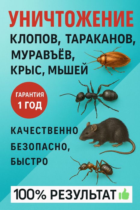 Акция от 10 000 — дезинфекция и дезинсекция от клопов, тараканов, мыше