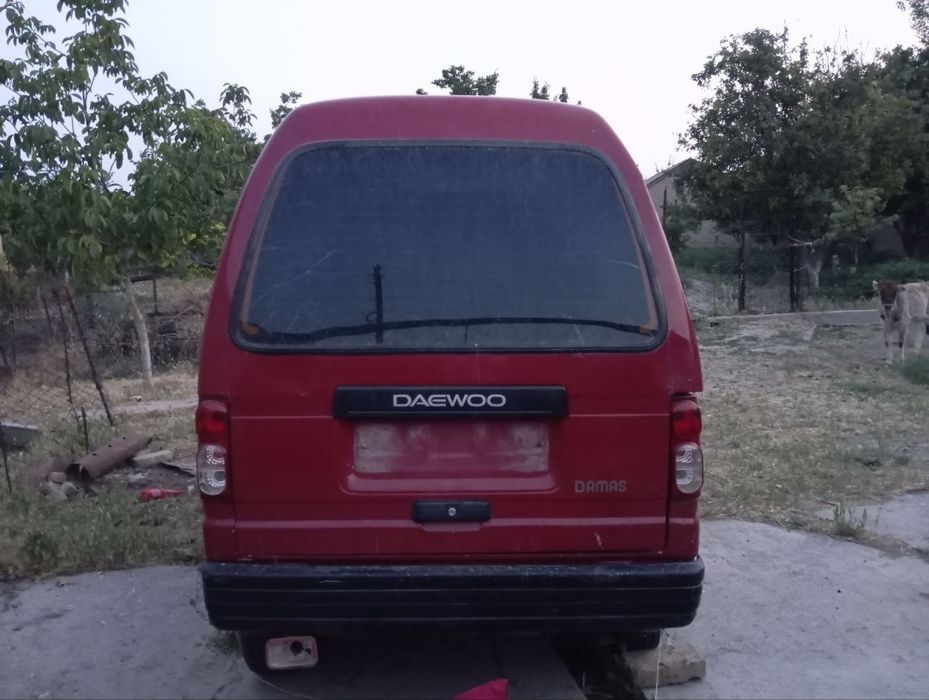 Daevo Damas  gazi bor