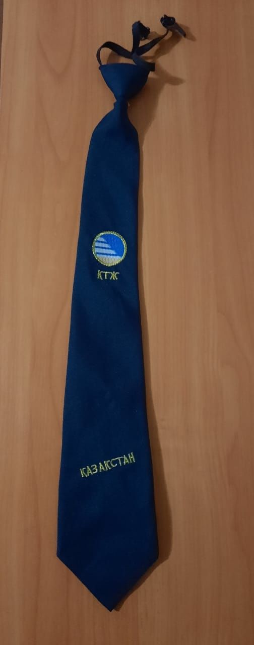 Значок и галстук для проводника