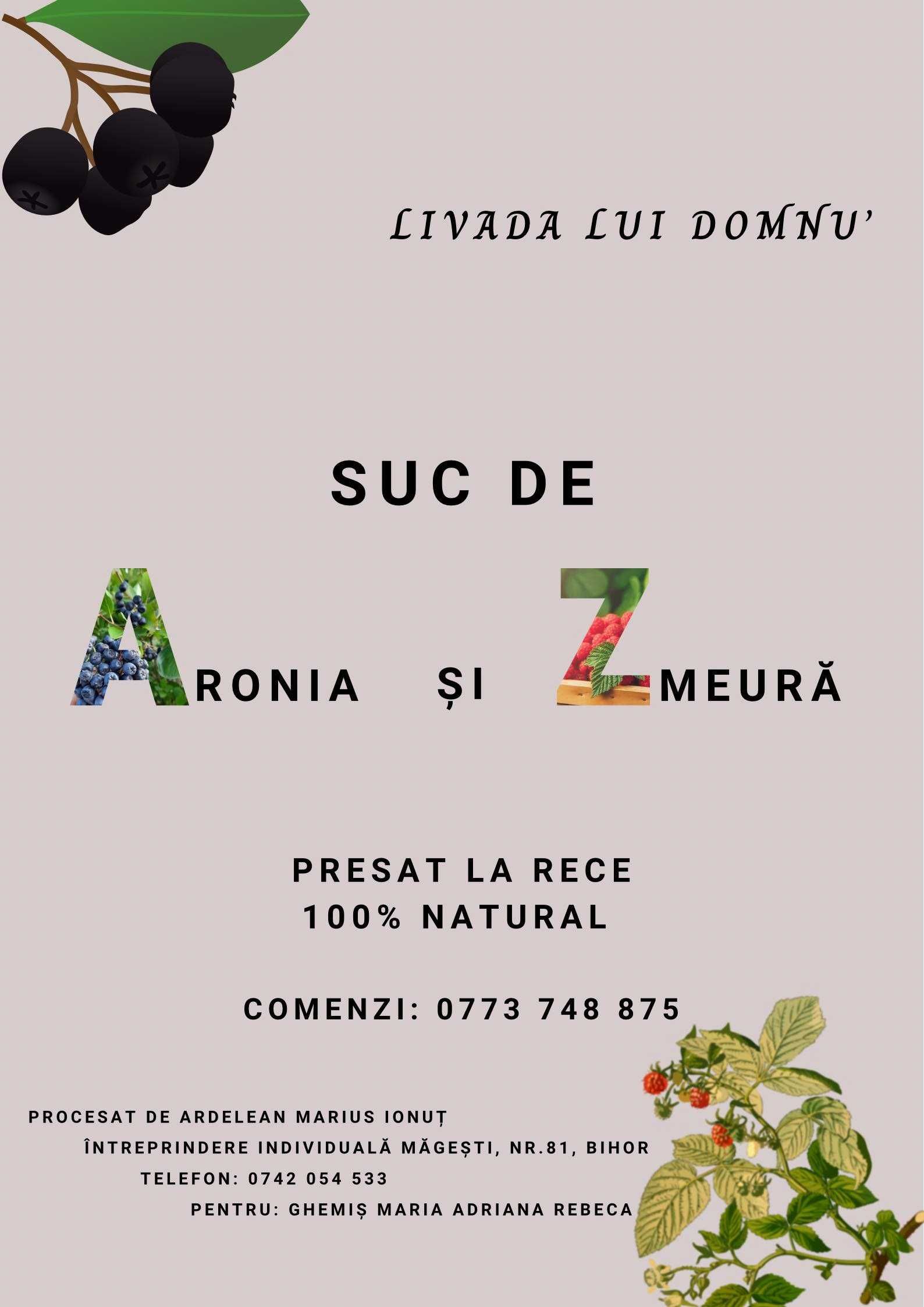 Zmeură și Aronia suc pur