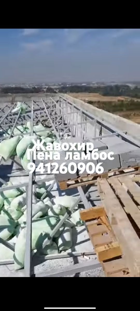 Penalomboz,tombosti ,lomboz ломбоз, томшувок томбости,чернопотолокpena