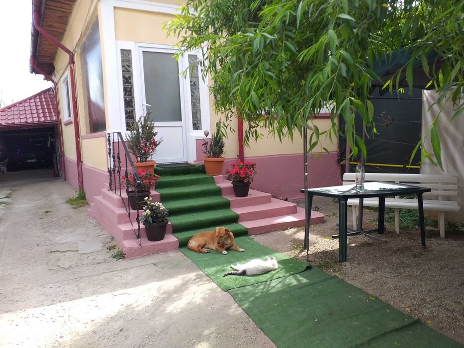 Vand casa curte Titu.