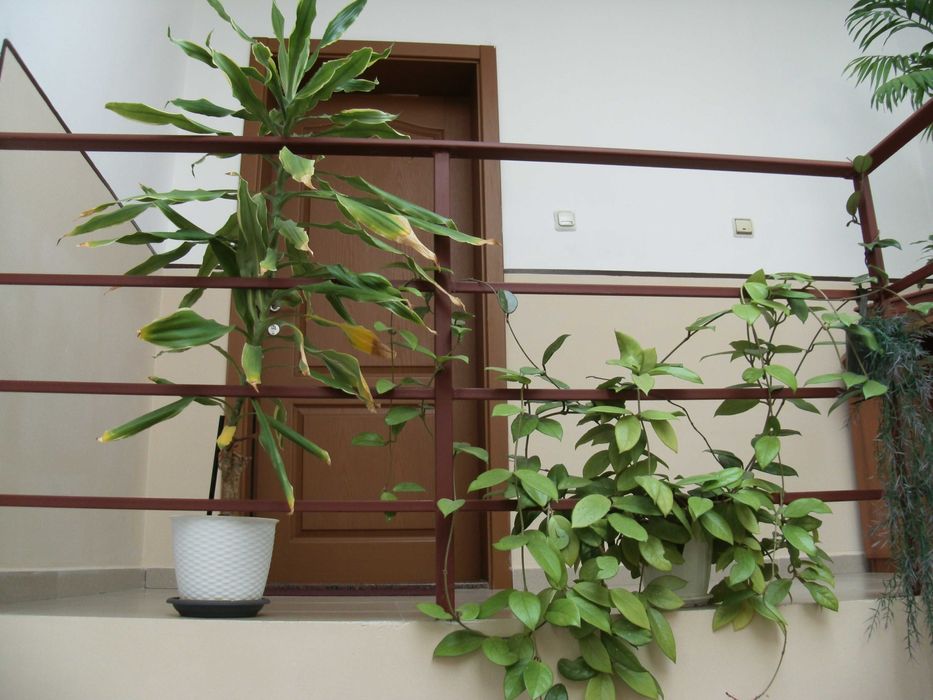 фотоапарат GE C 1433 14.1 МРх