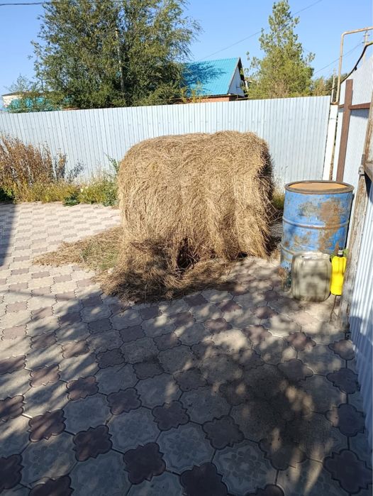 1 рулон шөп сатамын, срочно
