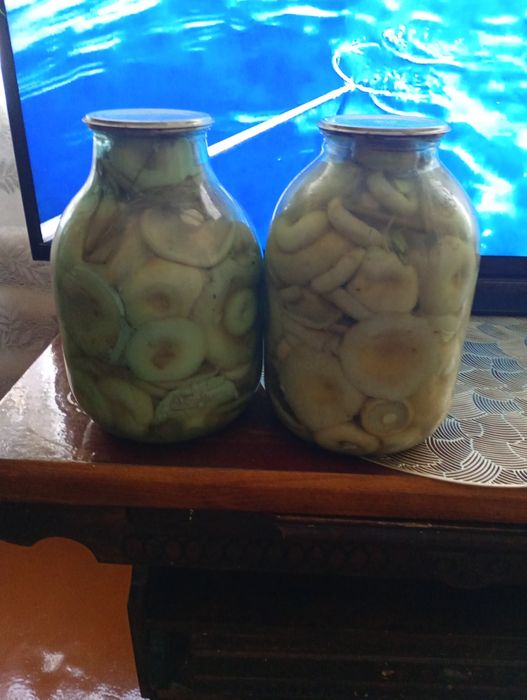 Продам грибы! В наличии в банке и бочке!