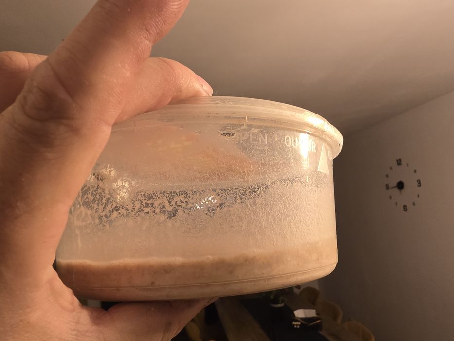 Cultura microviermi, grindale