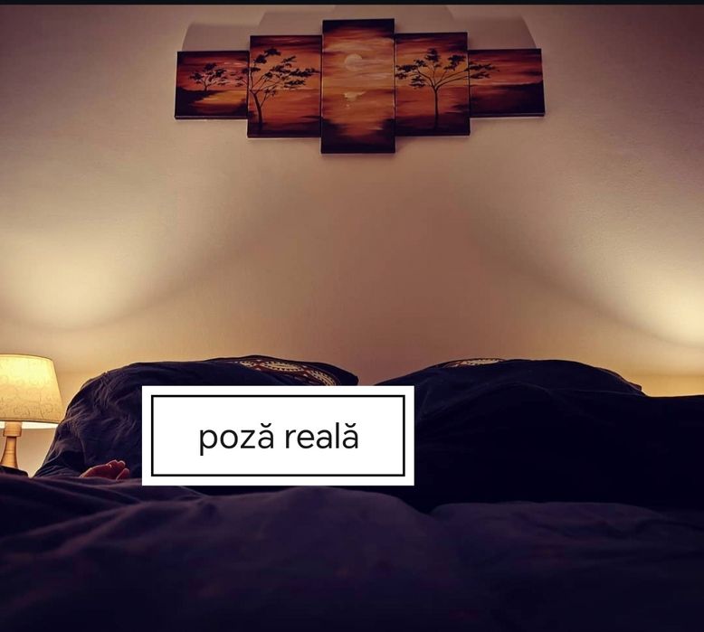 Tablou 5 piese pictat manual Apus în Africa