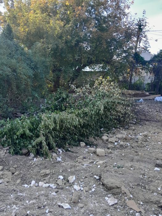 Кому нужны дрова