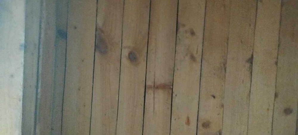 Продавам голяма къща за куче