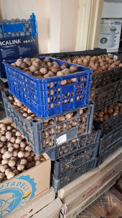 Продам орехи  800 тг-кг