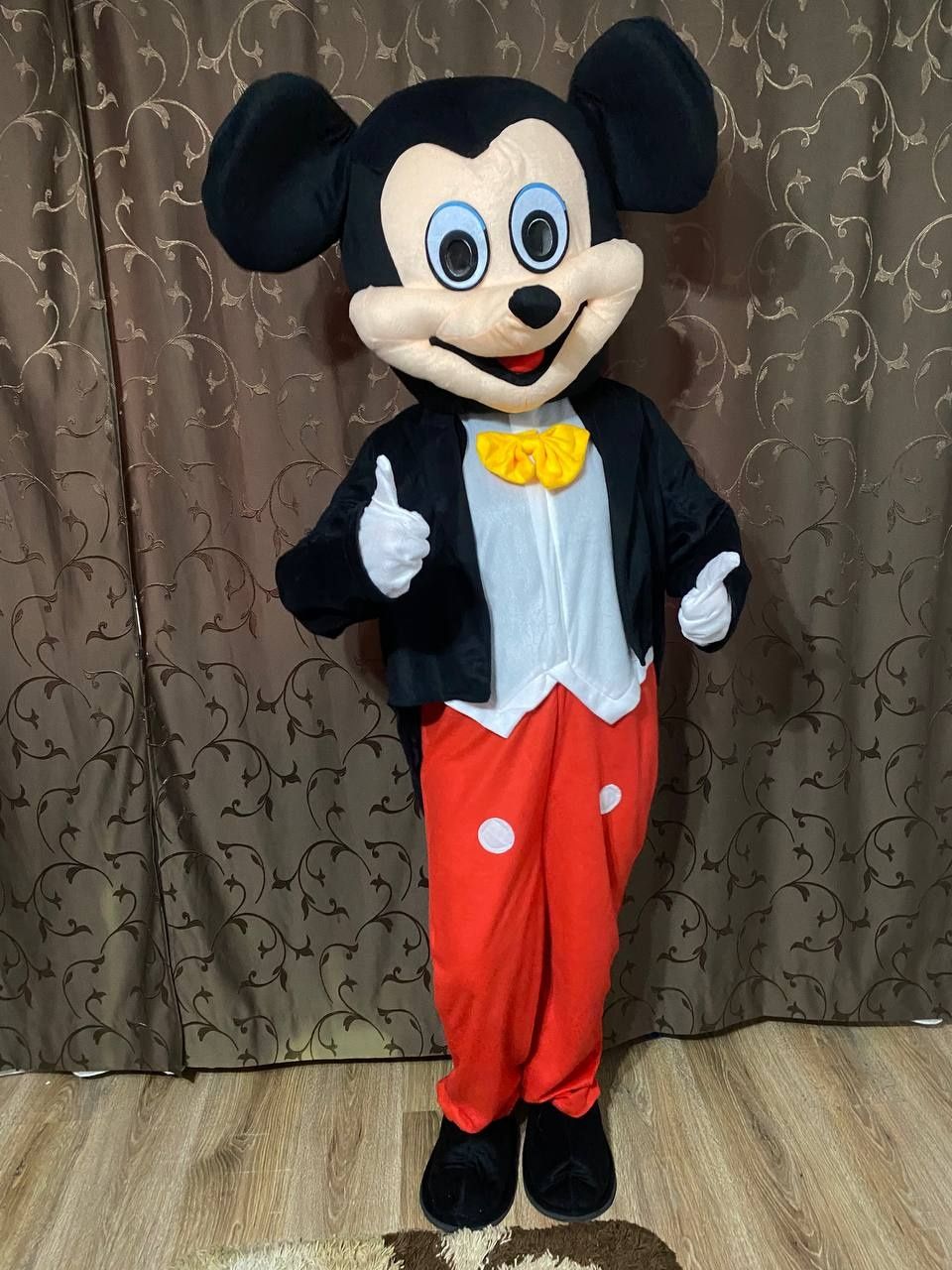 Animatori Minnie&Mickey petrecere