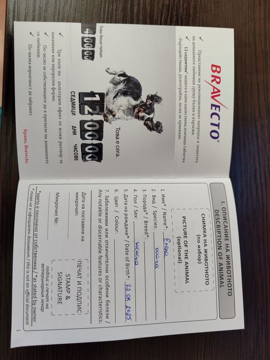 Женски екзотични персийски котки на 4 години,2 години и на 3 месеца.