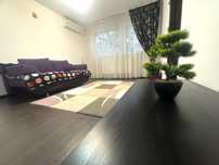 Inchiriez apartament 2 camere Malu Rosu-spate Republicii
