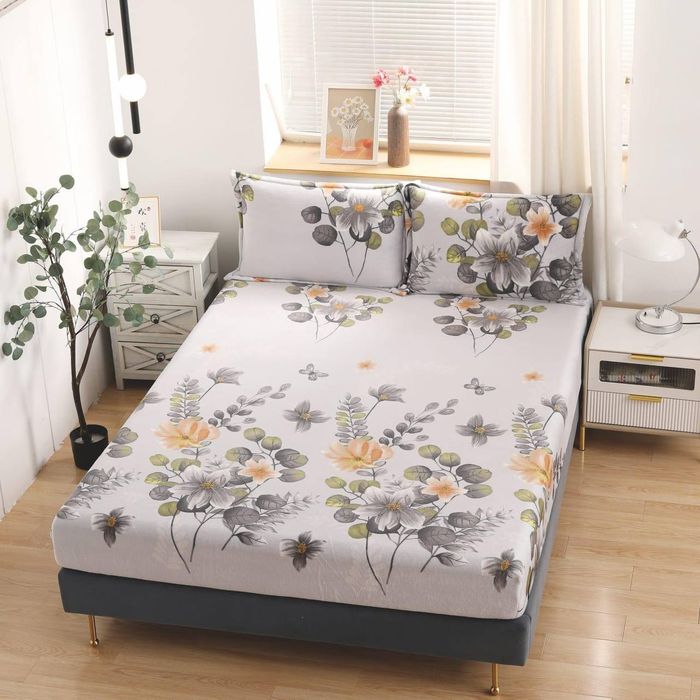 Modele noi huse cocolino