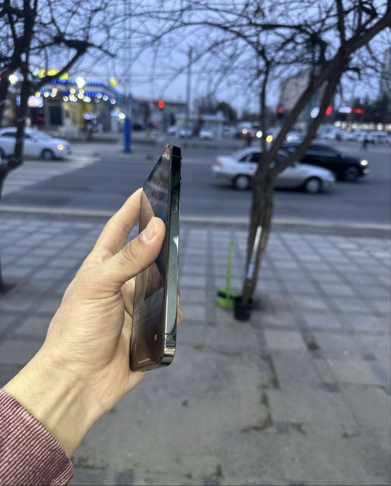 Iphone 12 pro max ideal