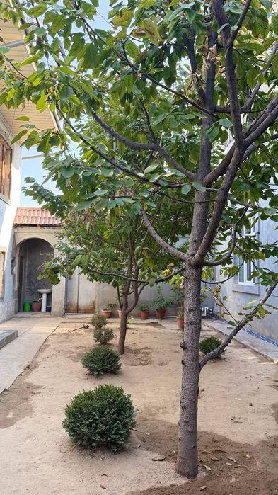 Срочно продаётся Евродом Домбрабад участок Угловой 3.75 соток 7 комнат