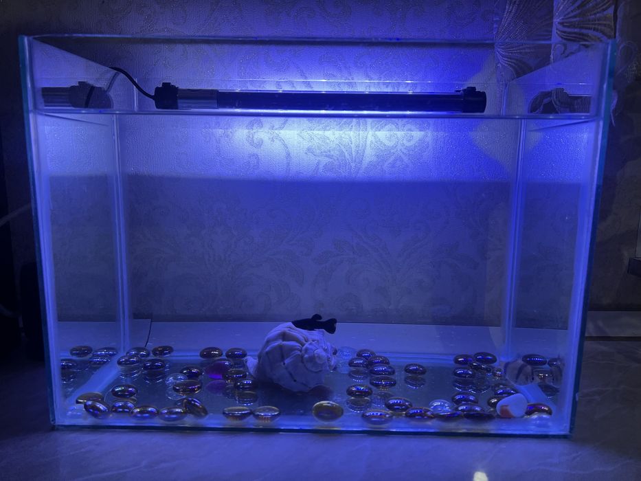 Аквариум 18 литер продается