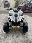 Can Am Renegade 110