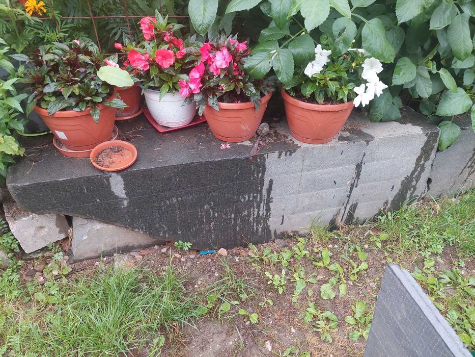 Vand marmură  gri si alb