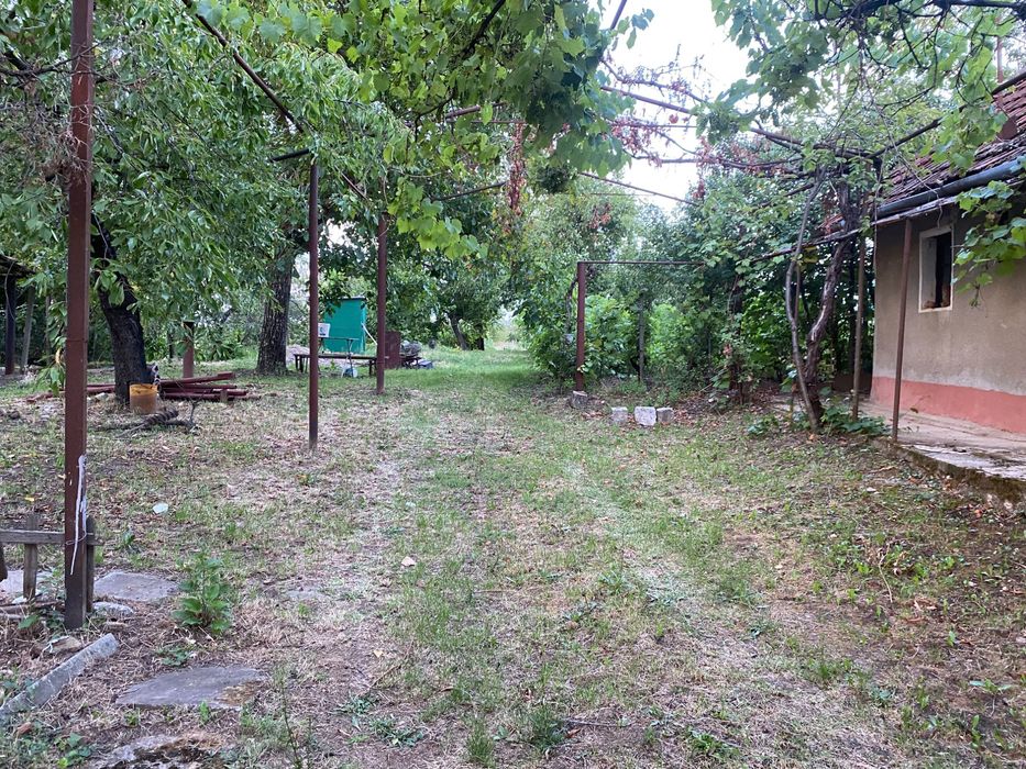 Imobiliare de Vanzare casa