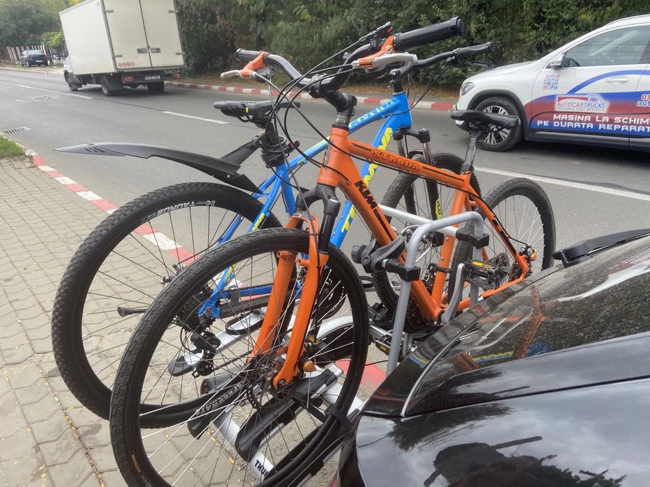 Bicicleta teranna pe 29