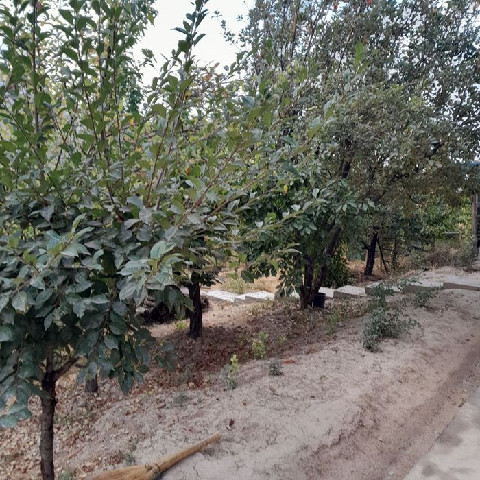 Uchaska Sotiladi Uy Parkent Kumushkon Raytaxt 15 Sotiq