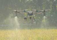 drone agricole,profesionale,service