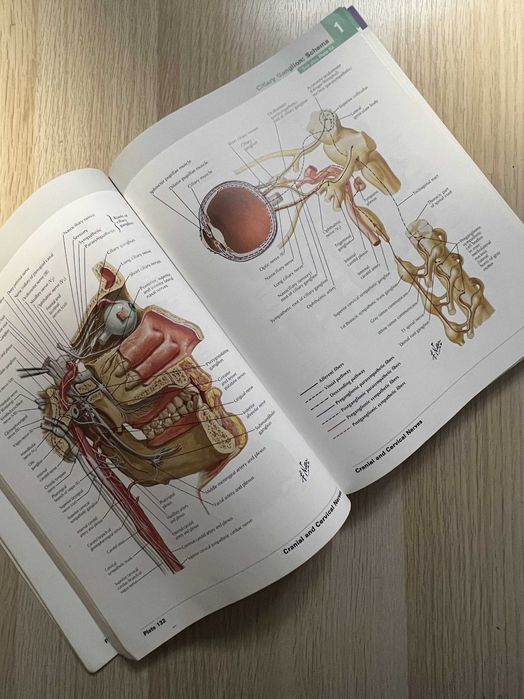 Netter Atlas of Human Anatomy editia 6 Engleza