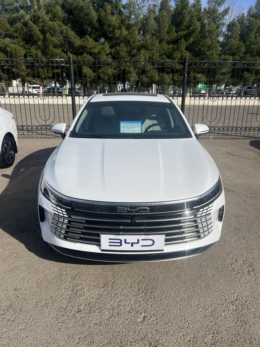 Byd chazor gibrid 2024