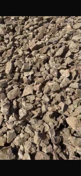 Доставка скальника и горельника