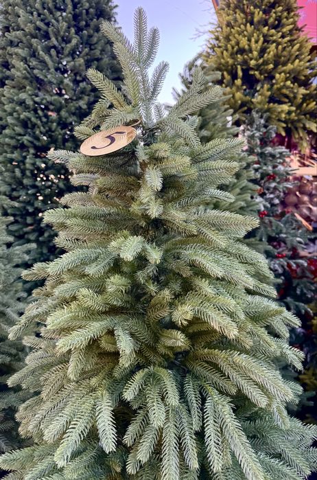 Елка елки зеленые, снежные, с шишками, красной рябиной