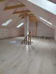 Zugrav profesionist/professional painter