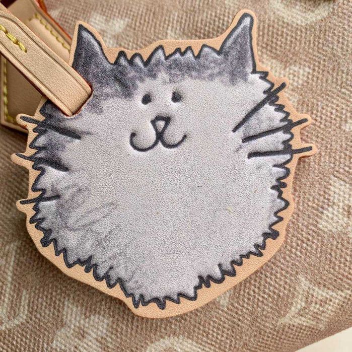 Geanta Louis Vuitton Speedy