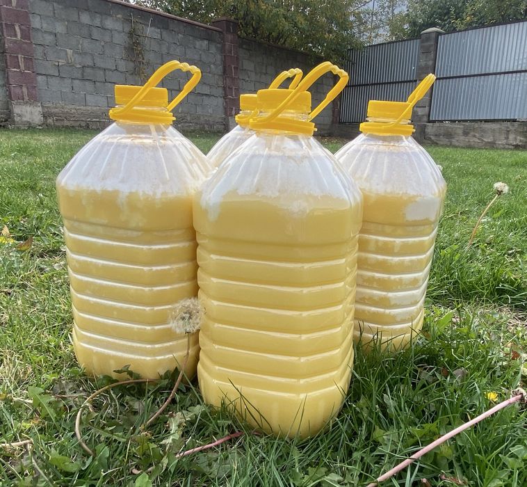 Мёд оптом в Алматы