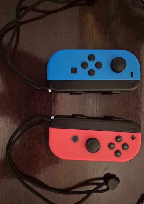 Nintendo Switch Pair