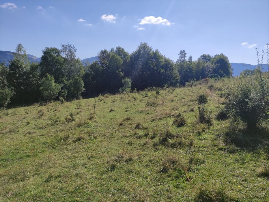 Se vinde teren în Ponor, județul Alba
