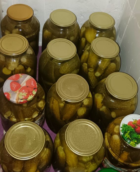 Продаю солёные огурцы