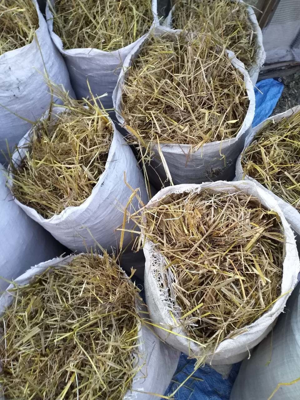 Продам солому, сено , суданку в мешках!