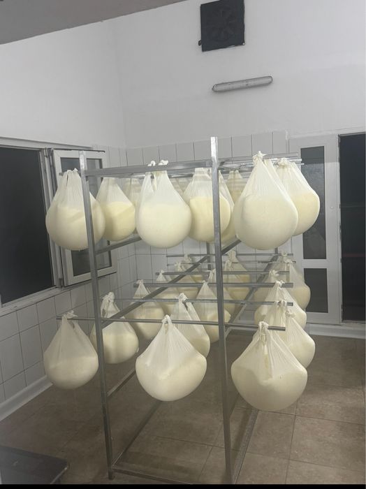 Produse Lactate  100% naturale