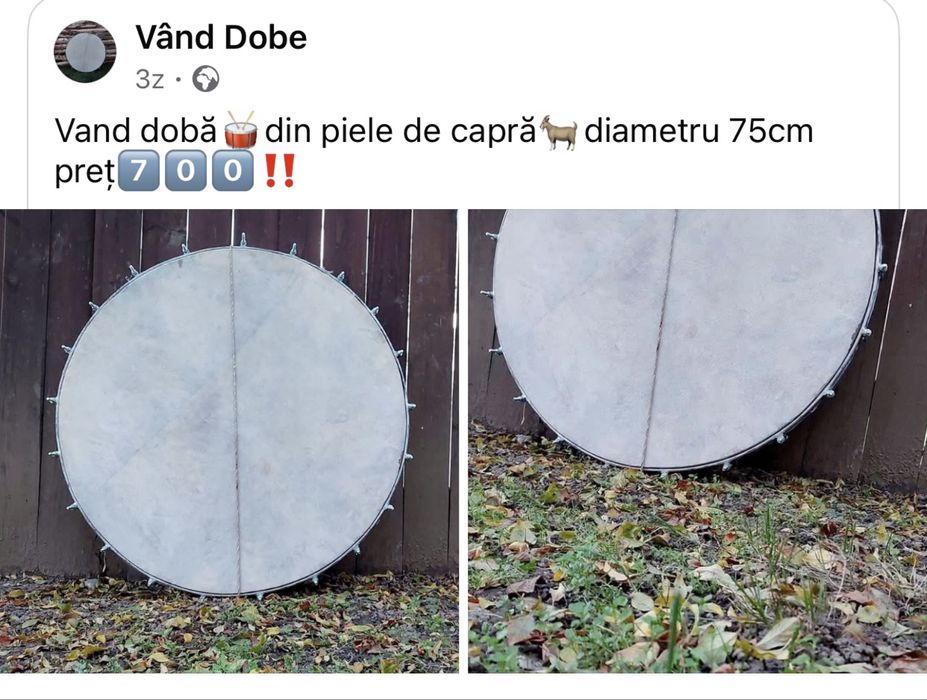 Vand dobe din piele de capra
